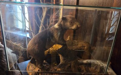 Posjet Lovačkom muzeju